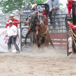 Bigger Barn House Bonanza авантюрная игра на виртуальной ферме