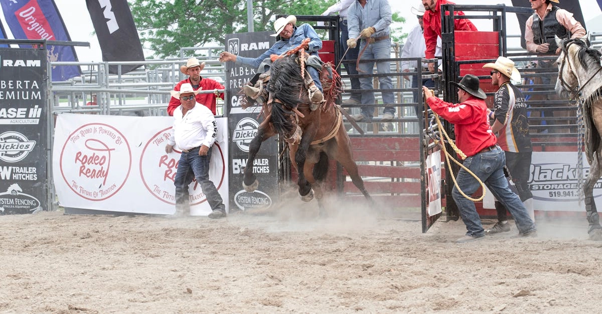 Bigger Barn House Bonanza авантюрная игра на виртуальной ферме