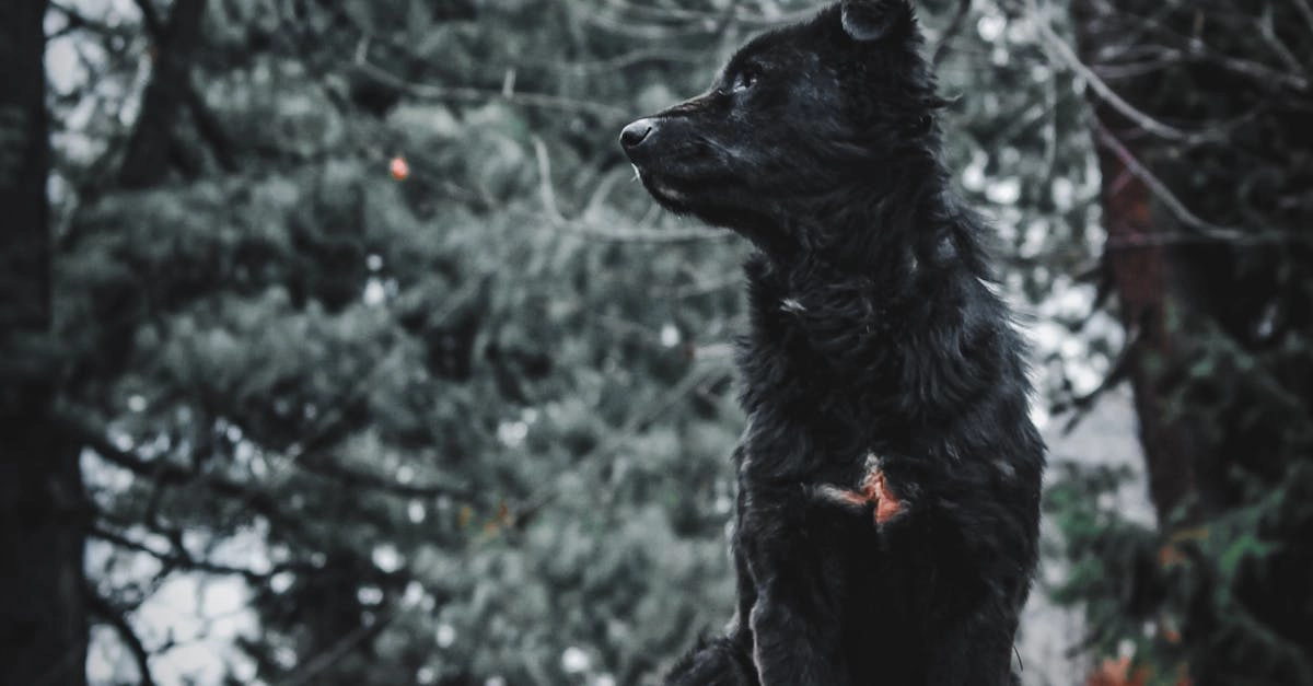 Программы лояльности казино без депозита с бонусными картами